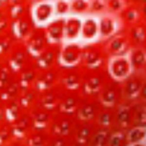 Meet your Posher, Toya